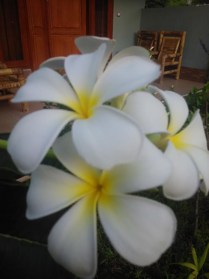 Dinoyin Bungalows Gili Meno Exterior foto